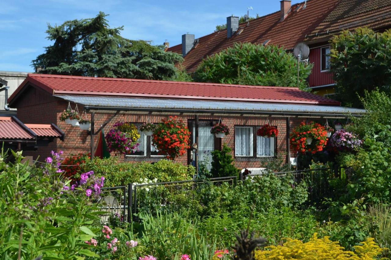 Bungalow Weidling Hasselfelde Exteriér fotografie
